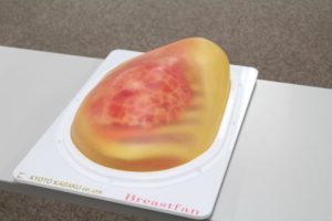 京都科学）乳房超音波診断（Breast）Phantom　US-6